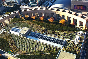 Green Roofs - More than just a Pretty Roof Garden!