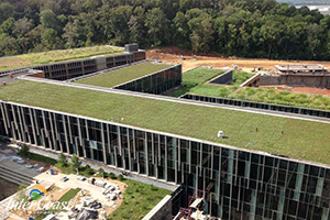 Big Ideas in Living Architecture - Incorporating Living Green Spaces in Your Designs
