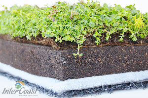 Columbia Green Technologies Green Roof Layered Assembly
