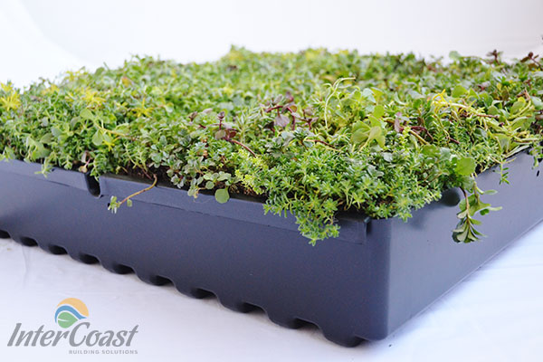 Columbia Green Technologies Tray System for Maximum Stormwater Retention