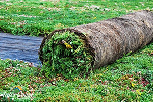 Green Roof Vegetation Blankets Technical Details